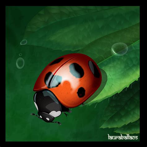 ladybug ladybugs fan art  fanpop