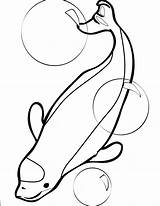 Beluga Whale Coloring Pages Printable Cliparts Animal Animals Drawing Color Template Letter Print Kids Getcolorings Back Popular Alphabet Homeschooling Colorin sketch template