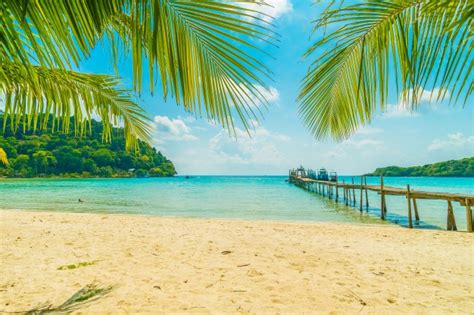 mooi tropisch strand en zee met kokosnotenpalm  paradijseiland gratis foto