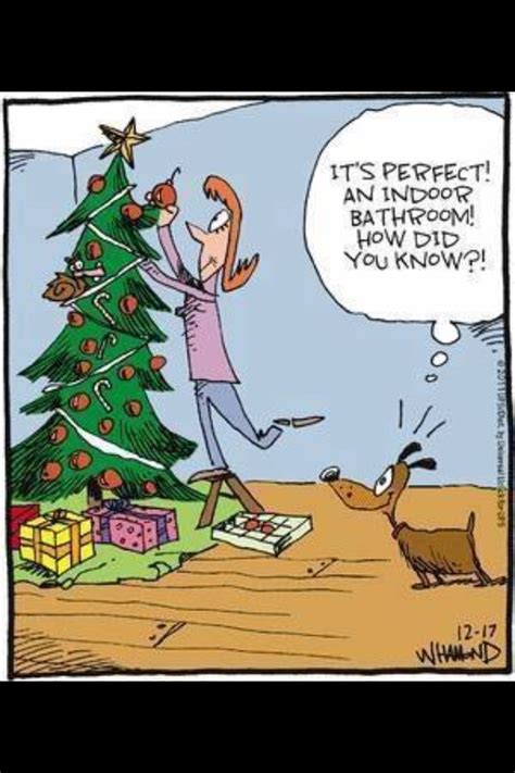 12 Funny Christmas Tree Cartoon Memes