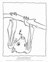 Bat Fruit Coloring Drawing Bats Clipart Pages Drawings Colouring Bing Library Printable Hanging Getdrawings Collection sketch template