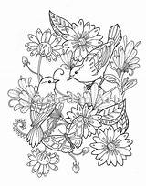 Blumenwiese Vogels Manila Ausmalen Erwachsenen Pintar Utopia Adulte Oiseaux Papillon Volwassen Vlinder Mantones Designs Bordado Erwachsene Vendido sketch template