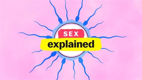 sex explained review χωρίς spoilers