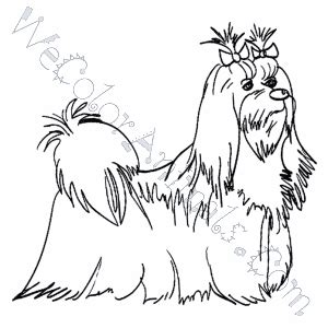 maltese dog coloring pages