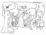 Jungle Coloring Pages Rainforest Drawing Color Printable Tropical Getcolorings Ecosystem sketch template