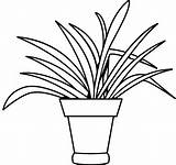 Plantas sketch template
