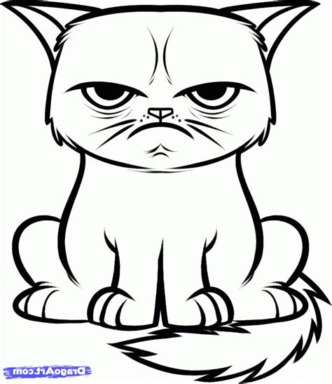 image result  cats drawings easy cat coloring book cat face