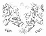 Colorat Pasari Imagini Fise Lucru Desene Gradinita Zburatoare Randunele Păsări Randunica Fiseprescolari Barza Animale Salvat Pasarilor sketch template