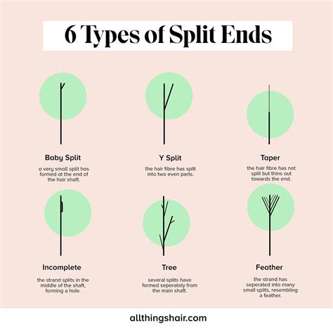 complete guide  rid  split ends  prevent future damage   hair