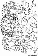 Coloriage Citrouille Dessin Mandala Trois Imprimer Kürbis Colorier Potiron Adults Ausmalbilder Imprimé sketch template