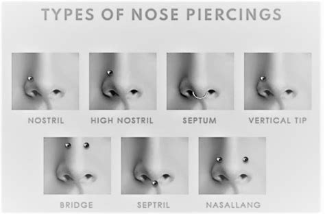 Types Of Nose Piercings Nose Piercing Types With Different Types Of