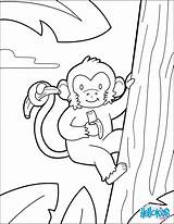 Monkey Coloring Pages Kids Jungle Color Hellokids Animal Print Animals Printable Book Preschool Choose Board Sheets Info sketch template