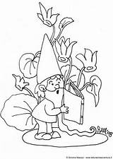 Gnome Coloring Colorare Disegni Pages Nani Book Large sketch template