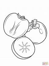 Coloring Whole Pages Persimmon Persimon Drawing sketch template