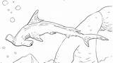 Coloring Shark Pages Realistic Printable Thresher Getcolorings Getdrawings Colorings sketch template