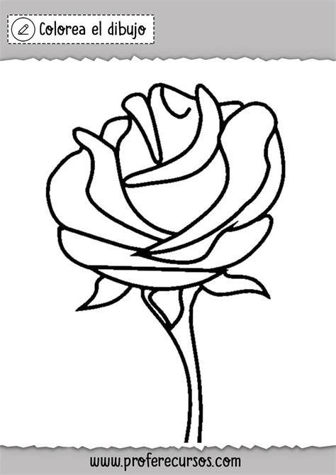 dibujo de una rosa  colorear