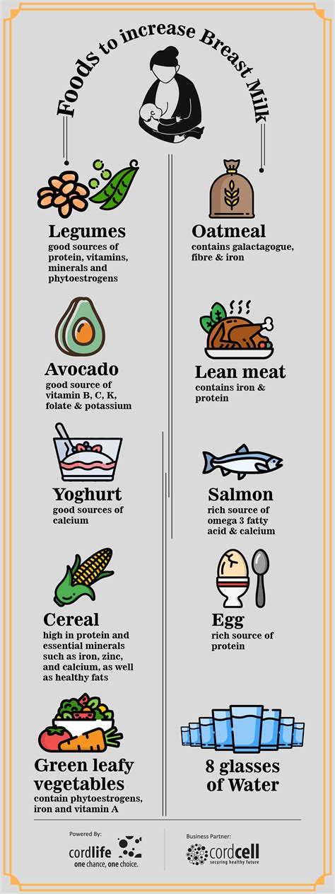 Foods To Increase Breast Milk Infographics