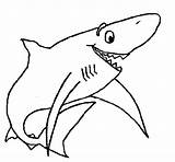 Shark Happy Coloring Template Animals Coloringcrew Pages Colouring Book Animal sketch template