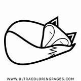 Sleeping Fox Coloring Pages sketch template