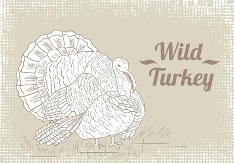 wild turkey drawing vector eps svg uidownload