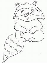 Coloring Raccoon Baby Laugh Printable Netart Color Popular Print Library Coloringhome sketch template