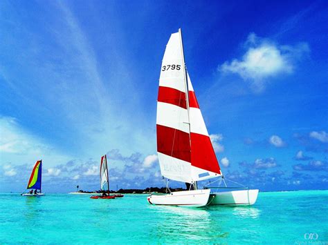 catamaran sailing  canoeing   maldives alpha maldives blog