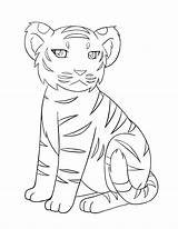 Tiger Coloring Pages Printable Kids Baby Colouring Tigers Nature sketch template