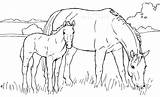 Foal Protecting sketch template