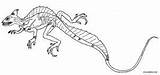 Lizard Basilisk Eidechse Druku Bazyliszek Kolorowanka Kolorowanki Dzieci Cool2bkids Basiliscus Kameleon sketch template