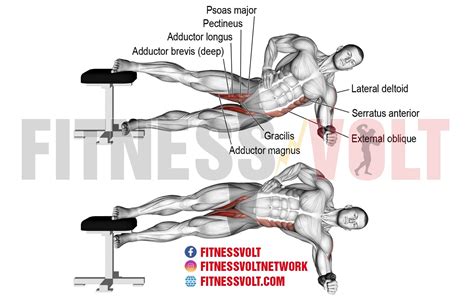 Side Plank Hip Adduction Hip Adductors Fitness Volt