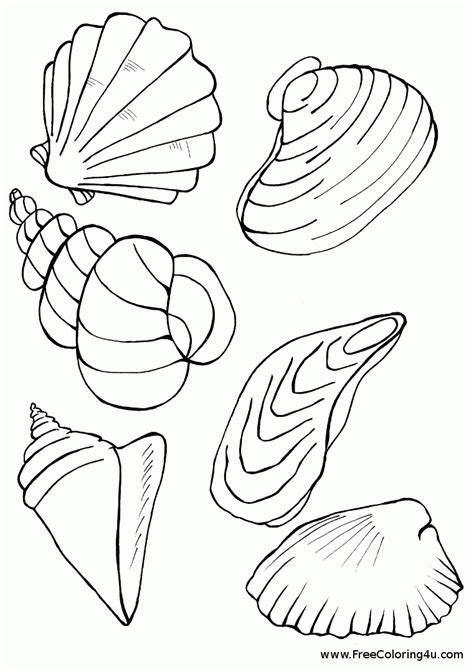 seashell printable coloring pages coloring home
