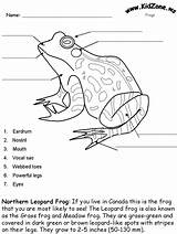 Frog Kids Activities Frogs Worksheets Anatomy Labeling Science Activity Leopard Northern Kidzone Sheet Grade Ws Diagram Labeled Toad Learning Beginner sketch template