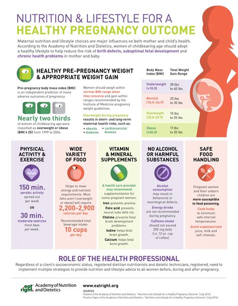 Diet Plan During Breastfeeding Diet Plan