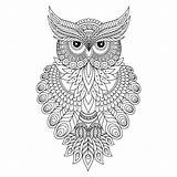 Owl Vector Canvas Coloring Illustrations Clip sketch template