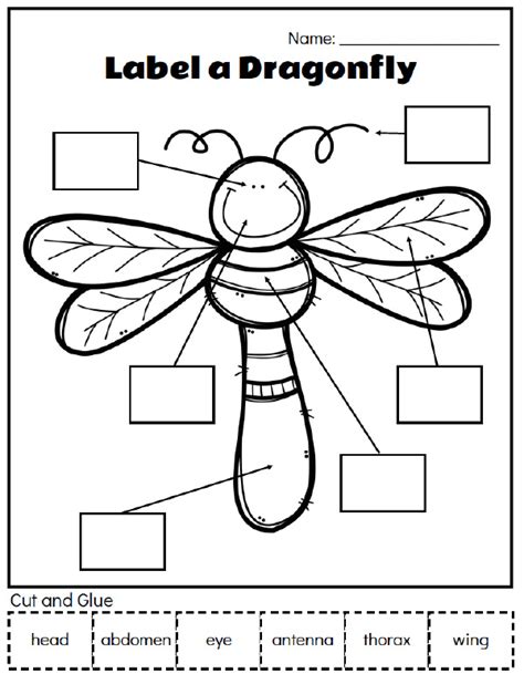 insect worksheet  preschoolers