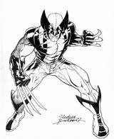 Wolverine Avenger Buchemi Kolorowanki Bestcoloringpagesforkids Superheroes Antigos Superman Dentistmitcham sketch template