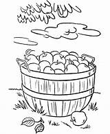 Coloring Pages Thanksgiving Sheets Harvest Apple Apples Basket Dinner Fall Color Colouring Bible Activity Kids Food Sheet Print Activities Foods sketch template
