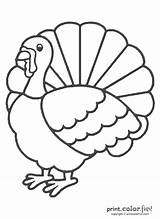 Turkey Coloring Thanksgiving Pages Printable Cartoon Color Print Fun Terrific Holiday Some Cute sketch template
