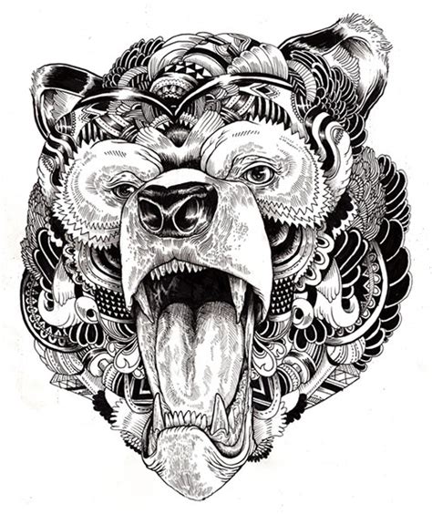 incredibly detailed animal illustrations