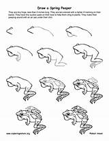 Animals Drawing sketch template