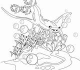 Ray Coloring Pages Manta Getcolorings School sketch template