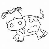 Cow Jumped Cows Coloringbuddy sketch template
