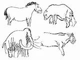 Cave Bear Animals Drawings Megafauna Prehistoric European Drawing Dordogne Les Wall Getdrawings Paintings Vezere Valley Dinosaurs Og Nyeste Reproduction Engraved sketch template