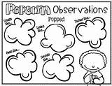 Popcorn Senses Activity Observation Kindergarten Subject sketch template