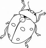 Coloring Insect Pages Ladybug Kids sketch template