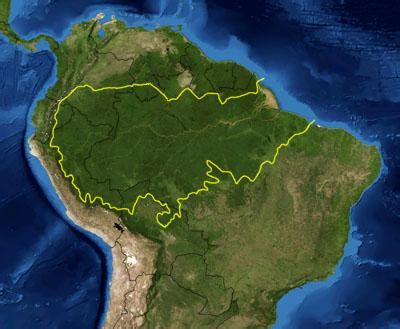 amazoneregenwoud wikipedia