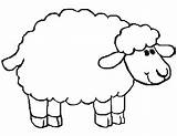 Kindergarten Lamb Introducing Animals sketch template