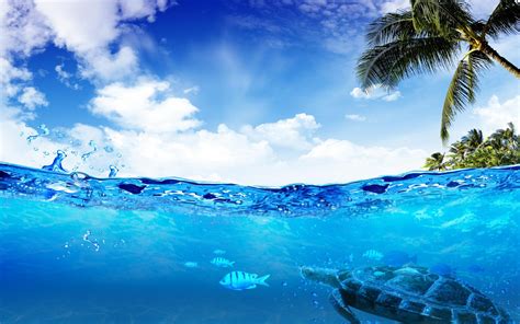swimming underwater hd desktop wallpaper widescreen high definition fullscreen