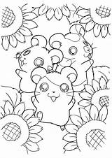 Hamster Coloring Pages Hamtaro Hamsters Sunflower Cute Kawaii Kids Printable Print Color Series Colouring Picgifs Anime Bestcoloringpagesforkids Cartoon Flower Surrounded sketch template
