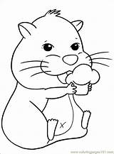 Hamster Ausmalbilder Ausmalen Zhu Malvorlagen sketch template